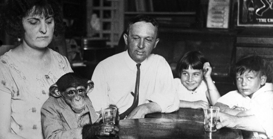 group of four and primate seated at a table