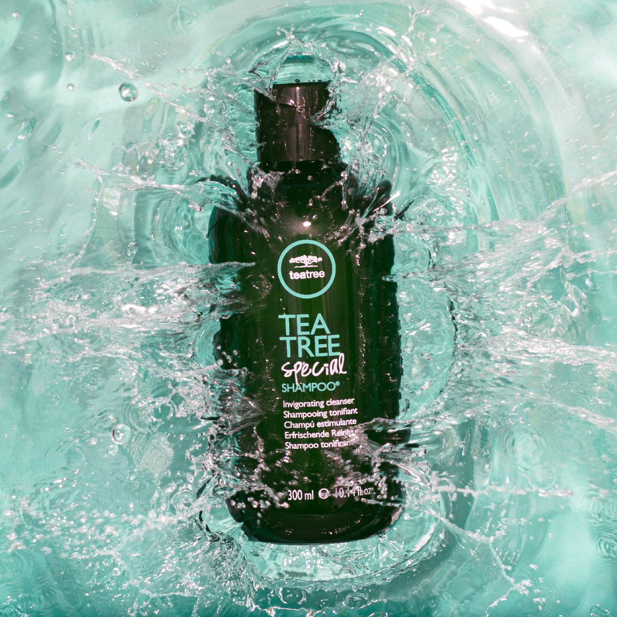 PaulMitchellUS's tweet photo. What's so special about our bestselling shampoo? ✨ With its especially invigorating formula that leaves hair feeling especially clean, it’s easy to see why everyone loves #TeaTreeSpecial. https://t.co/n5JFIpADFa