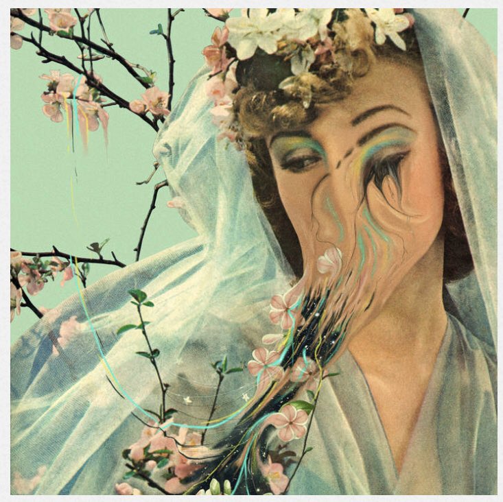 Christopher Olson tweet media