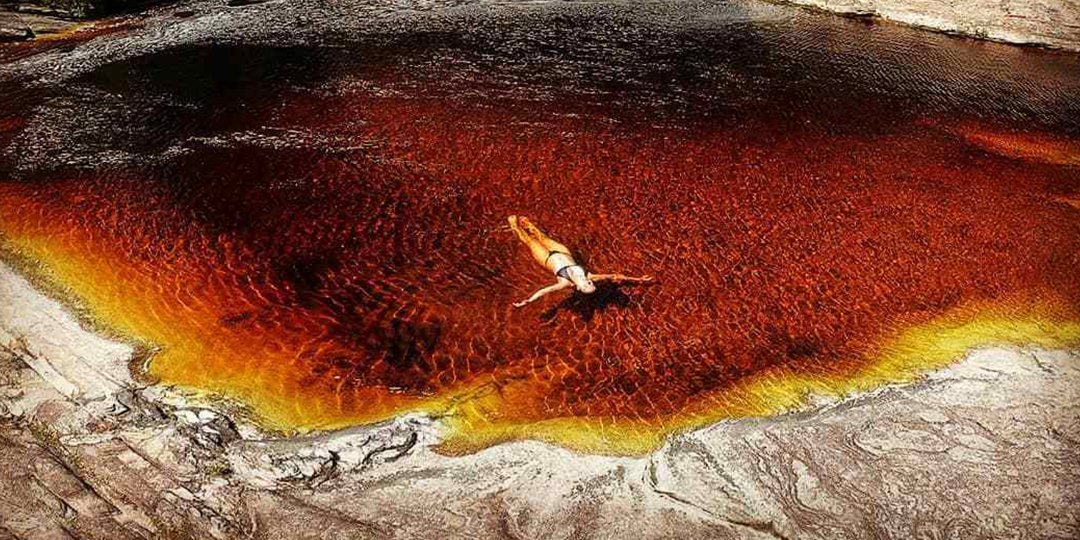 Visit Brasil tweet media