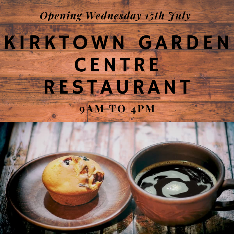 KirktownGardenCentre tweet media