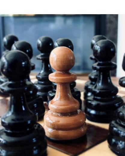 OCSB Summer School 2020: In the AWQ2O Photography Course at @OCSB Summer School, we're creating beautiful photos at home! <a href="/CapoOttawa/">Philip Capobianco</a>