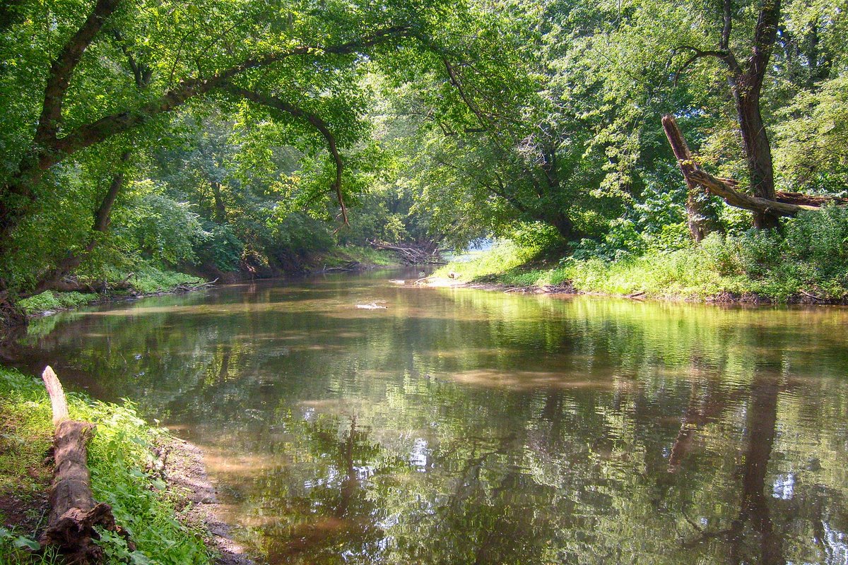 SoundForRelax's tweet image. #rest #anxiety #stress #water

😴#Relaxing SOUND OF THE #RIVER for a better #REST and #SLEEPING 🌿Beautiful green #landscape🌿#sleep 💤

😴#Relajante SONIDO DEL #RIO para un mejor #DESCANSO y CONCILIAR EL #SUEÑO 🌿hermoso #paisaje verde🌿#RELAX

Link: 👇🎥
youtu.be/ZRKxNNMSbSQ