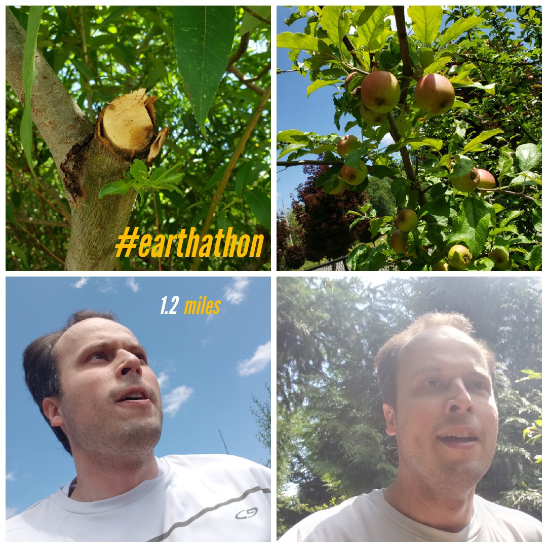 GoRunHappy's tweet photo. Ran 1.2 miles in the #earthahon relay for team #GoRunHappy Don't give up, sometimes a branch will be cut off for a purpose, but sometimes a new branch is growing in its place, so have faith, and perhaps this new branch will bring forth good fruit. https://t.co/YnDfENvWyB