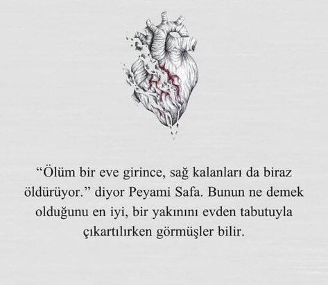 yagmurkilisli's tweet photo. https://t.co/uIjO6oXvdi
