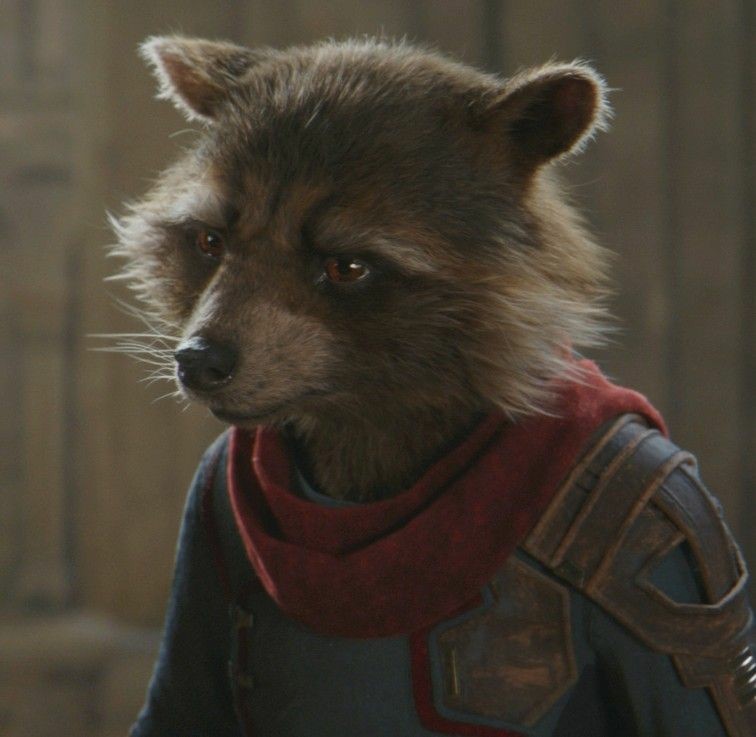 #RocketRaccoon