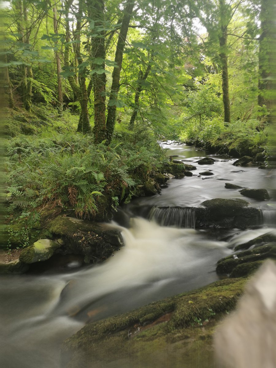 niamhgalway's tweet image. Thank you for the recommendation to visit Kells House &amp;amp; Garden in Kerry @iognaid It was the highlight of our visit and the food was incredible. #localtips #whenwetravelagain @poloconghaile @deric_tv