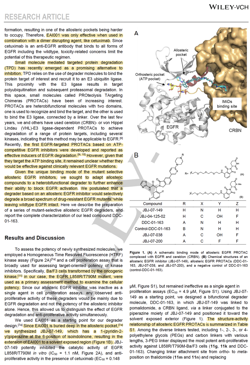 EvanJCarder's tweet photo. Targeted cancer therapies are commonly challenged by mutations that result in drug resistance. @DanaFarber scientists showed an elegant strategy by developing mutant-selective allosteric EGFR degraders and employing targeted polypharmacology. Check it out! https://t.co/v4hcSpXCwF https://t.co/JkuydoitUB