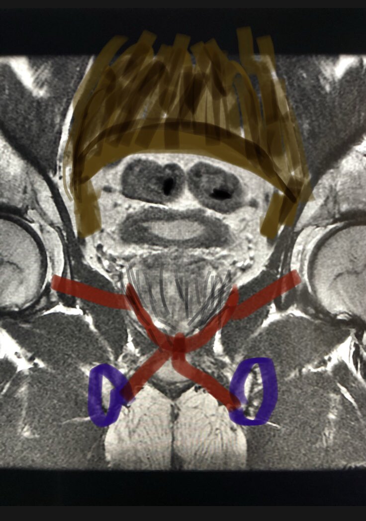 Casey Cable tweet media