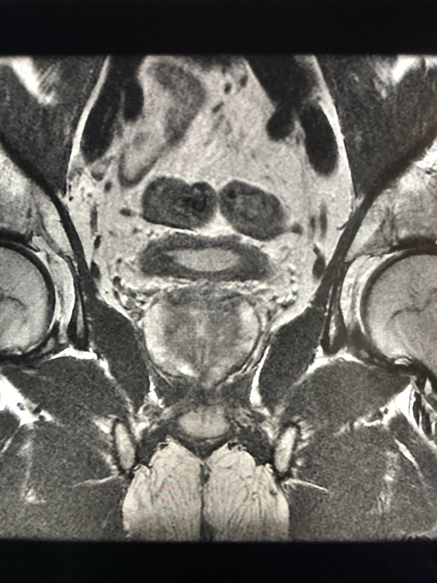 Casey Cable tweet media