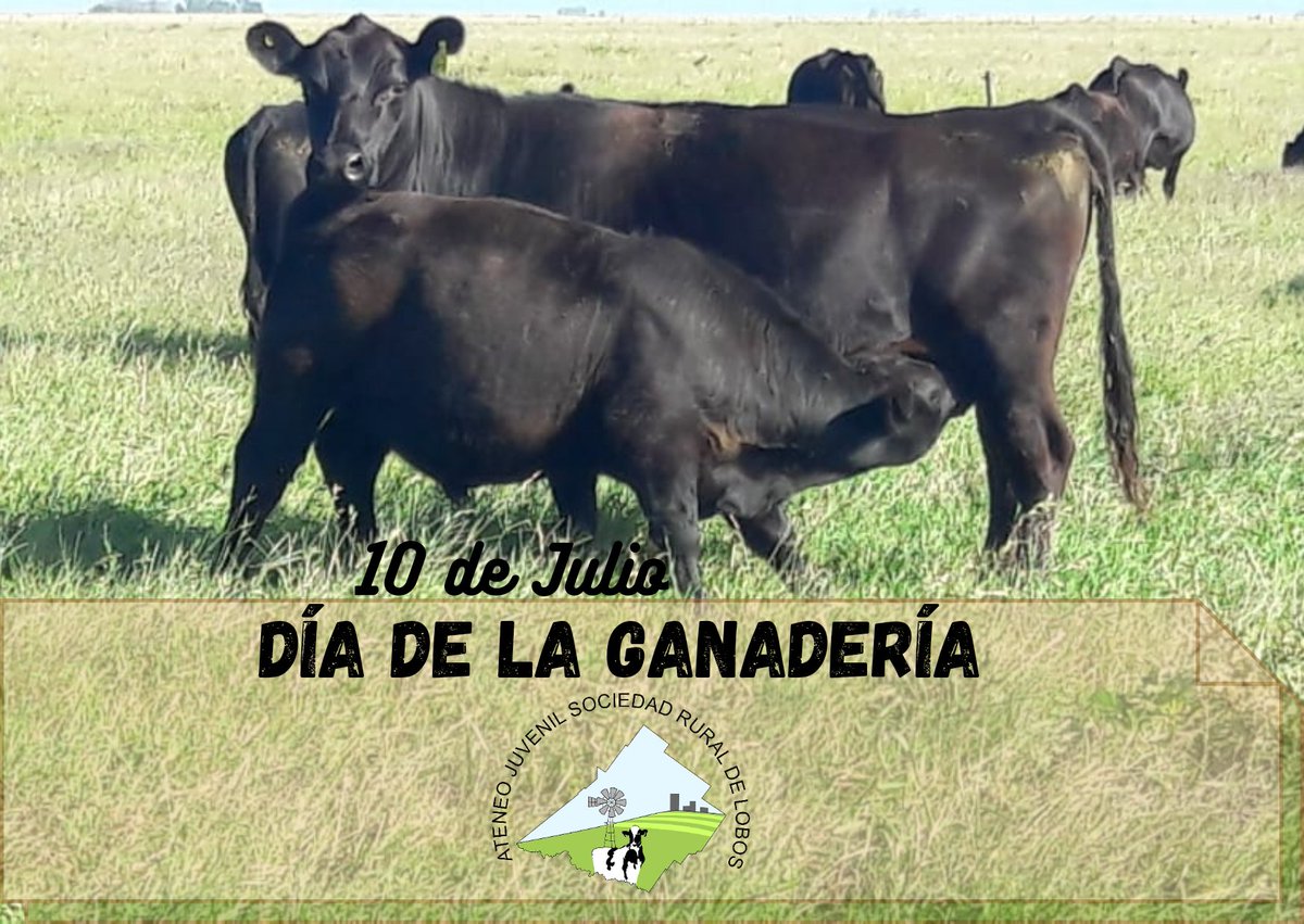 El 10 de Julio se celebra en todo el país, el Día de la Ganadería, una de las actividades económica más importantes de Argentina. 🐮🐂
#ganaderia
#Argentina
#ateneolobos
