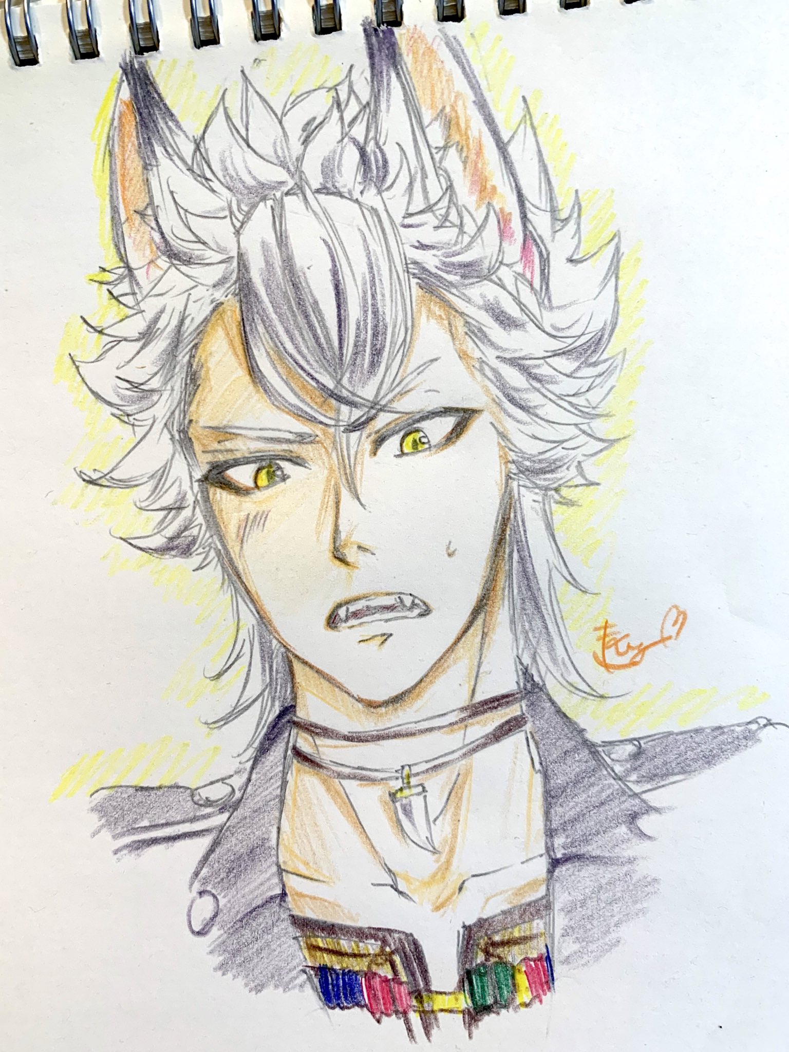 きい♡フルオーダー 手洗い可 / シアースキッパープルオーバー（ニット/セーター