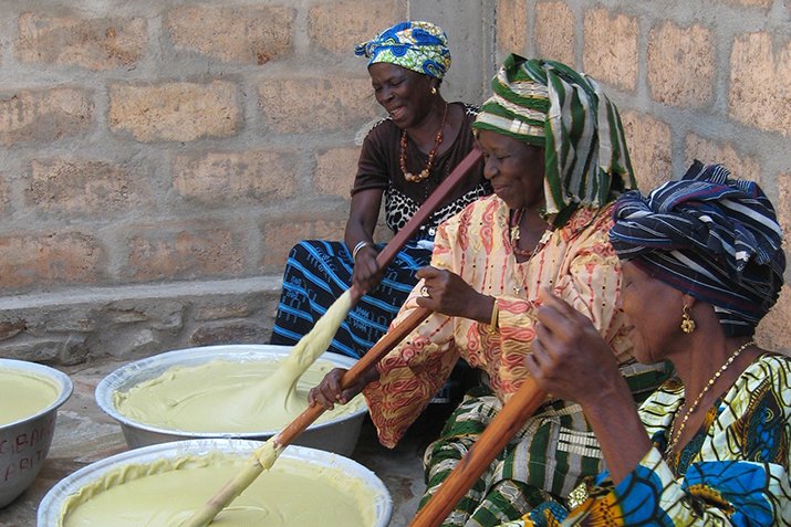 Mmofra_Ghana's tweet photo. For everyday use in food and skin &amp; hair care + overall awesomeness in #climatemitigation /women's income, the shea tree's #sheanut butter tops our #PlantAppreciation! Images via #AlaffiaVillage &amp; Business Insider, copyright attrib. welcome. #BlackBotanistsWeek #Howmanyplants https://t.co/cKOvJOPlbk