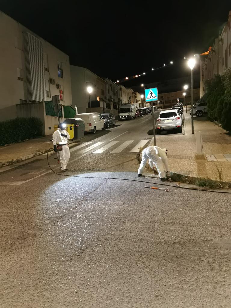AytoAntequera's tweet photo. 🦗 Trabajo de control y fumigación realizado la pasada noche en #Antequera. Aplicación de plaguicidas, contra cucarachas, en el Barrio de La Quinta.

✅ Actuación del área de Medio Ambiente del @AytoAntequera en colaboración con @AguasdelTorcal.

#MedioAmbiente
#ConLosBarrios https://t.co/Q2EQSaG78K