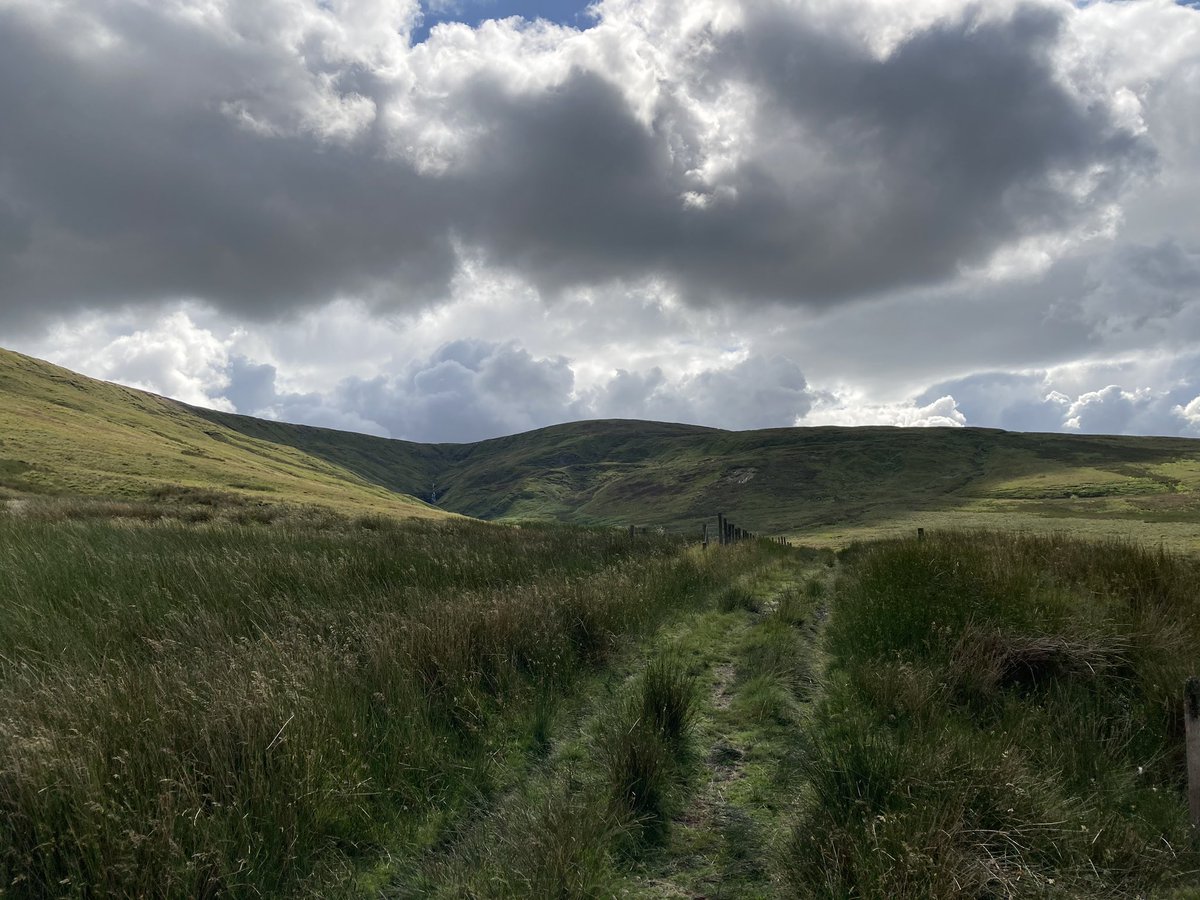 rallen78's tweet photo. Walked to the top of this hill to eat my pie. It’s great to be northern. #helloladies #eligiblebatchelor #formaqueue https://t.co/qF9mktkxp6