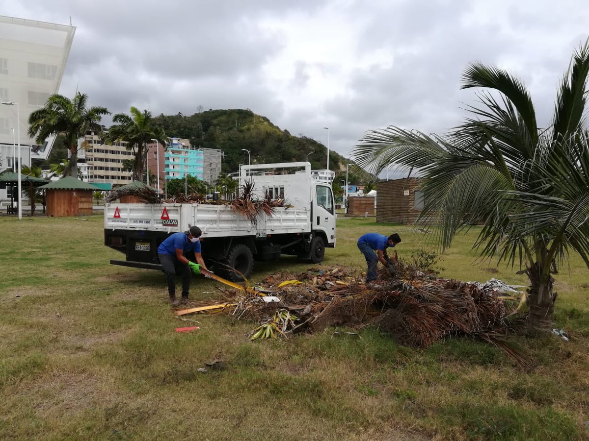 FlopecEp's tweet photo. 🌴[PLAYA LAS PALMAS] Como administradores del complejo turístico en #Esmeraldas y en el marco de vuelta a la nueva normalidad, retomamos el mantenimiento de camineras y limpieza habitual de áreas verdes del malecón "Playa Las Palmas". #FlopecSiempreContigo
#AEcuadorLoSacamosTodos https://t.co/GlbN9hE9VV