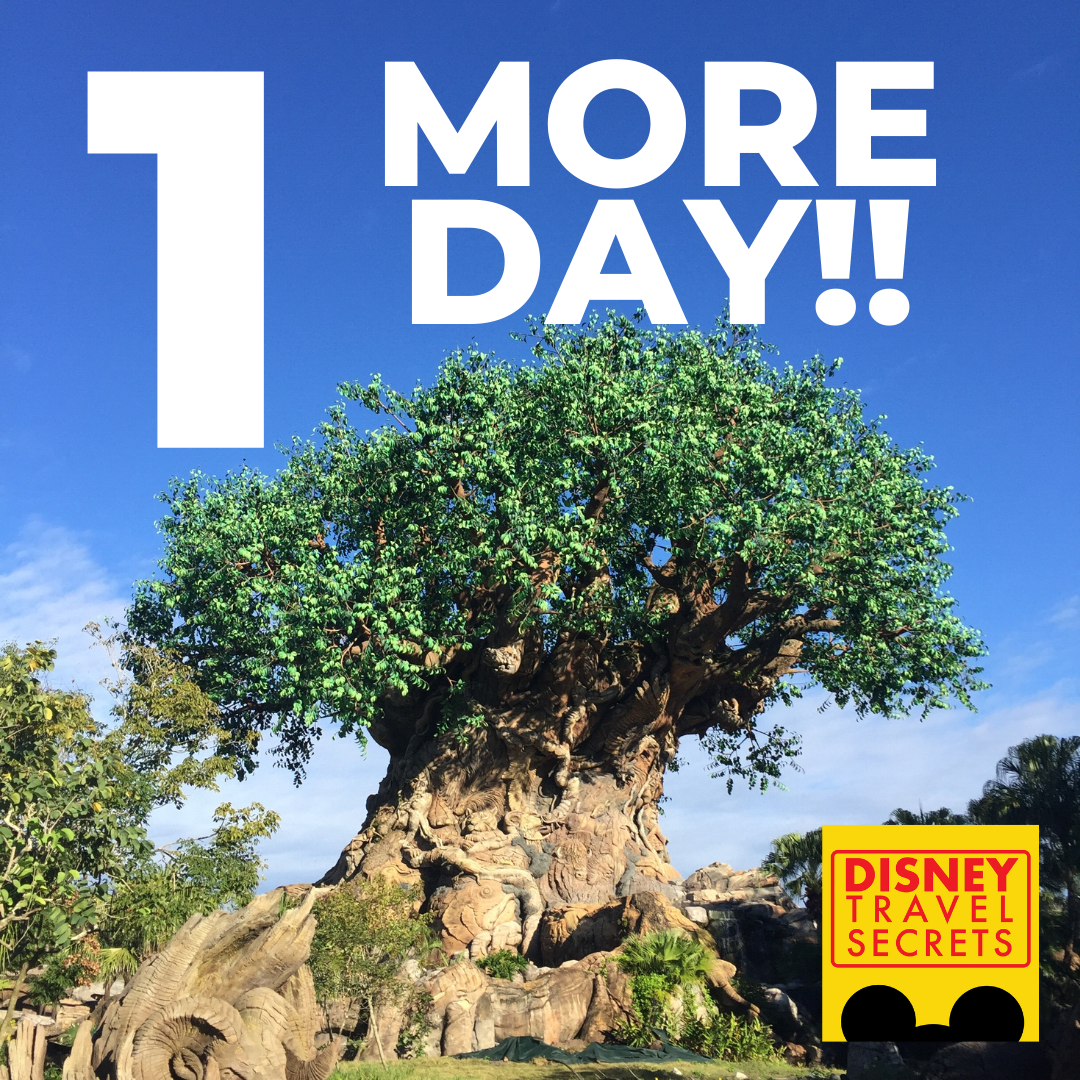 It's Happening!! 

ONE. MORE. DAY!

Will you be at the reopening?!

If not, fear not. Stay tuned to our Instagram and Facebook accounts for Live updates throughout the next week! #distwitter #wdw #disney #waltdisneyworld
