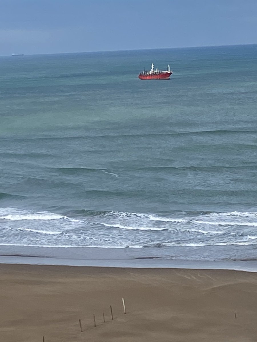 balposeidon's tweet photo. Visitas en la costa. https://t.co/bYzCtmRqer