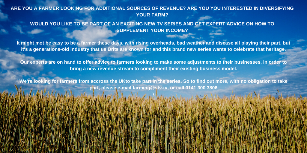 Vanda Kettelhut tweet media