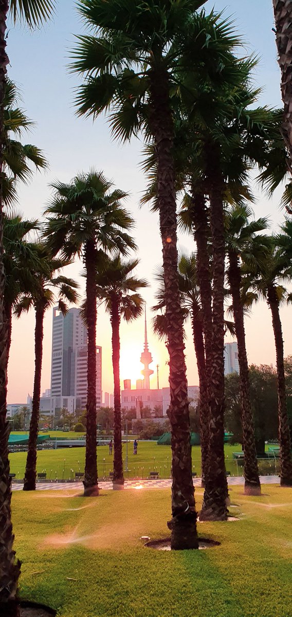 📸 حديقة الشهيد 🌴
<a href="/Alshaheedpark/">Al Shaheed Park</a>