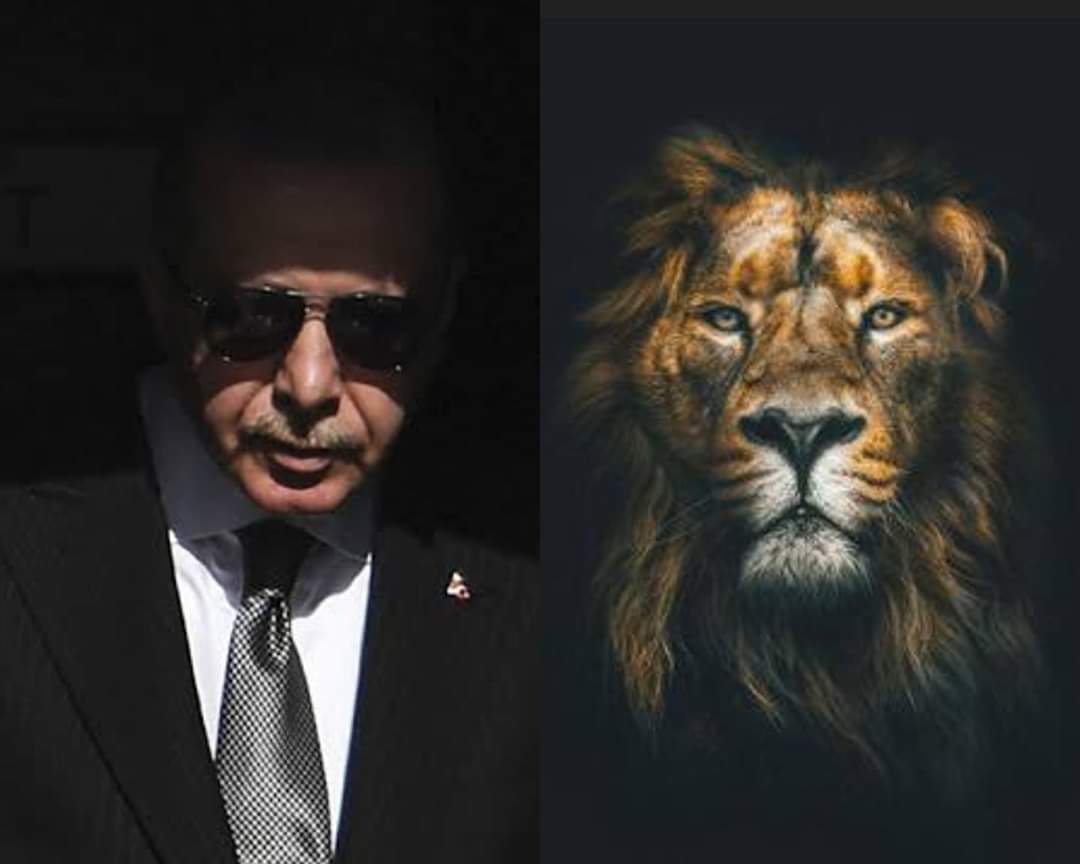 asoszen's tweet image. Dostlardan UYARI ⚠

Artık kim REİS'in yanında dik durmaz ise bir daha asla konuşmasın.
Eğer REİS herşeyi göze alıyorsa bizde alacağız.
Rabbim bu kararda bizleri mahçup etmesin.

#AyasofyaCamii