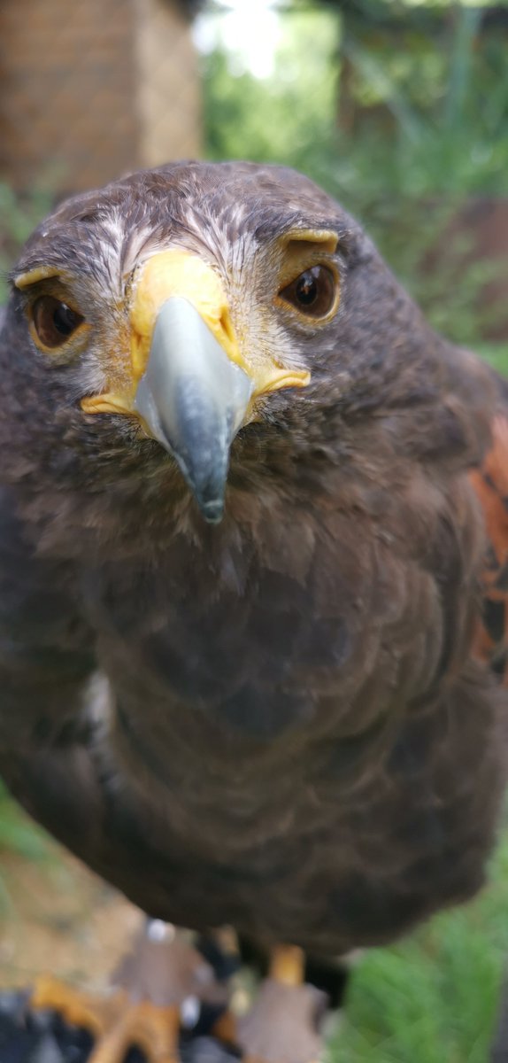 Hanna fragt wo ihr alle seid?