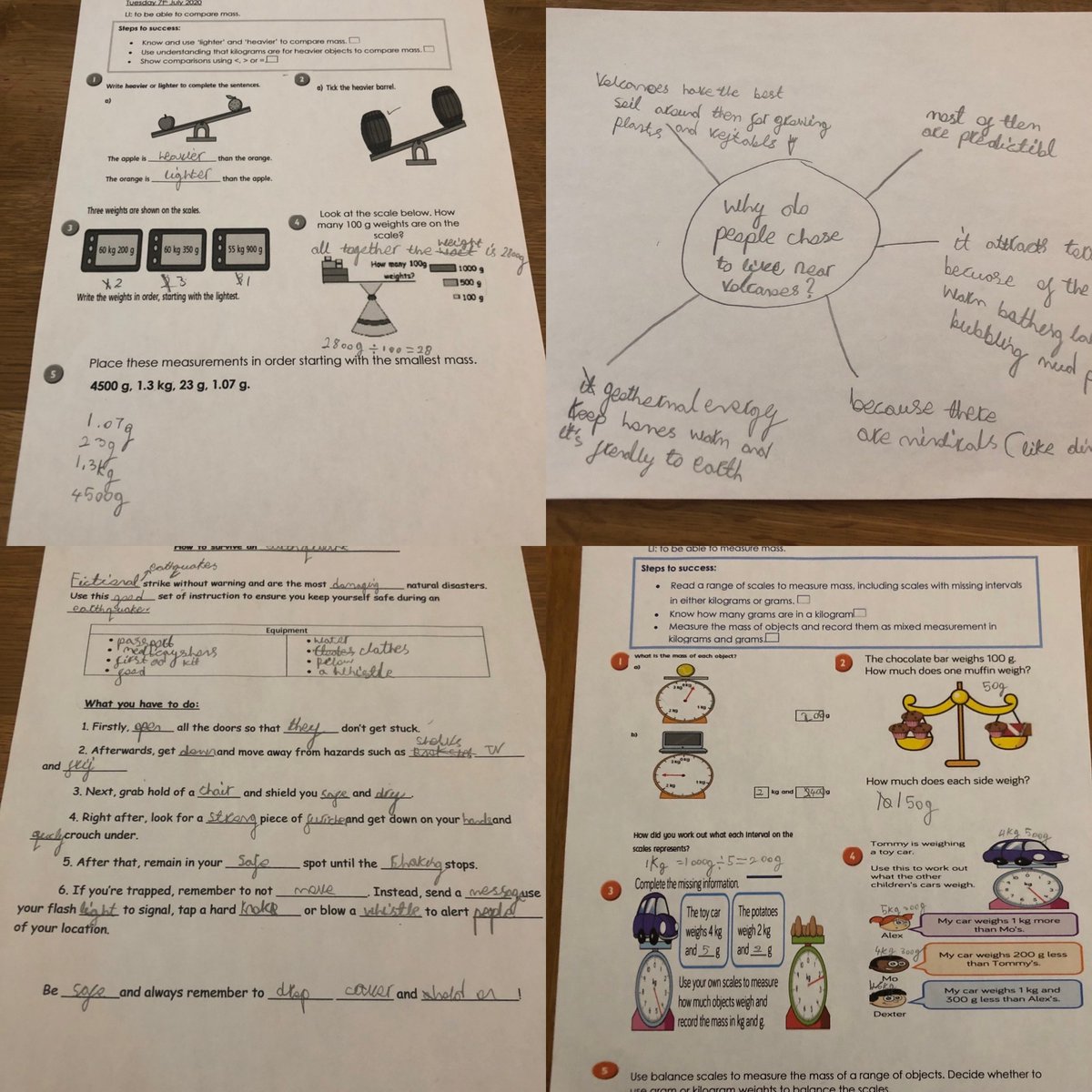 Sophia’s learning this week and the much awaited arrival of mr. Waddles 🦆😊 and his brothers/sisters 😃 @GBSMrsMills @MissOBrienGBS