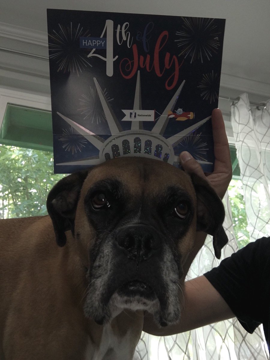 stevewallace12's tweet photo. Summer is here. Luce is sooo excited! #julyFURthcontest https://t.co/EBdsqxThjT
