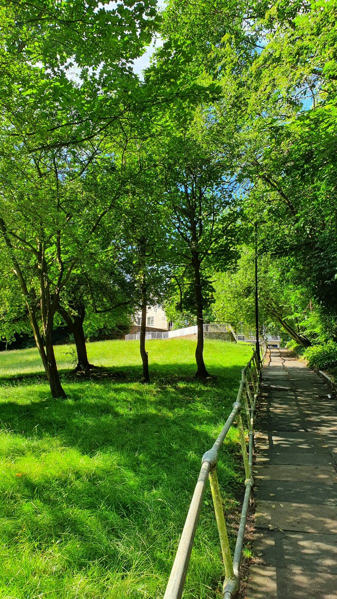 Down past the Tarleton Gardens lookout point.SAVE OUR FIELD