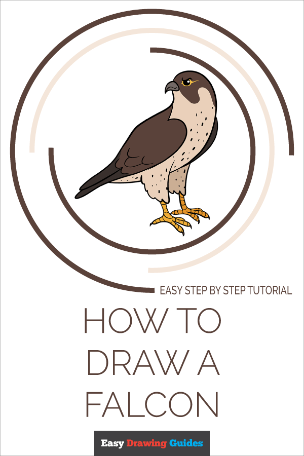 Featured image of post How To Draw A Falcon Step By Step Easy Draw a small circle for the eye