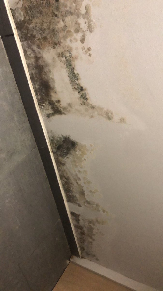 Lola971Marquez's tweet photo. Ah ouais donc ça c’est dans les toilettes de la Briochee Dorée à Coeur de Jarry #guadeloupe @Prefet971 😖🤮🤮🤮🤮🤮 https://t.co/iR1rytrbiL