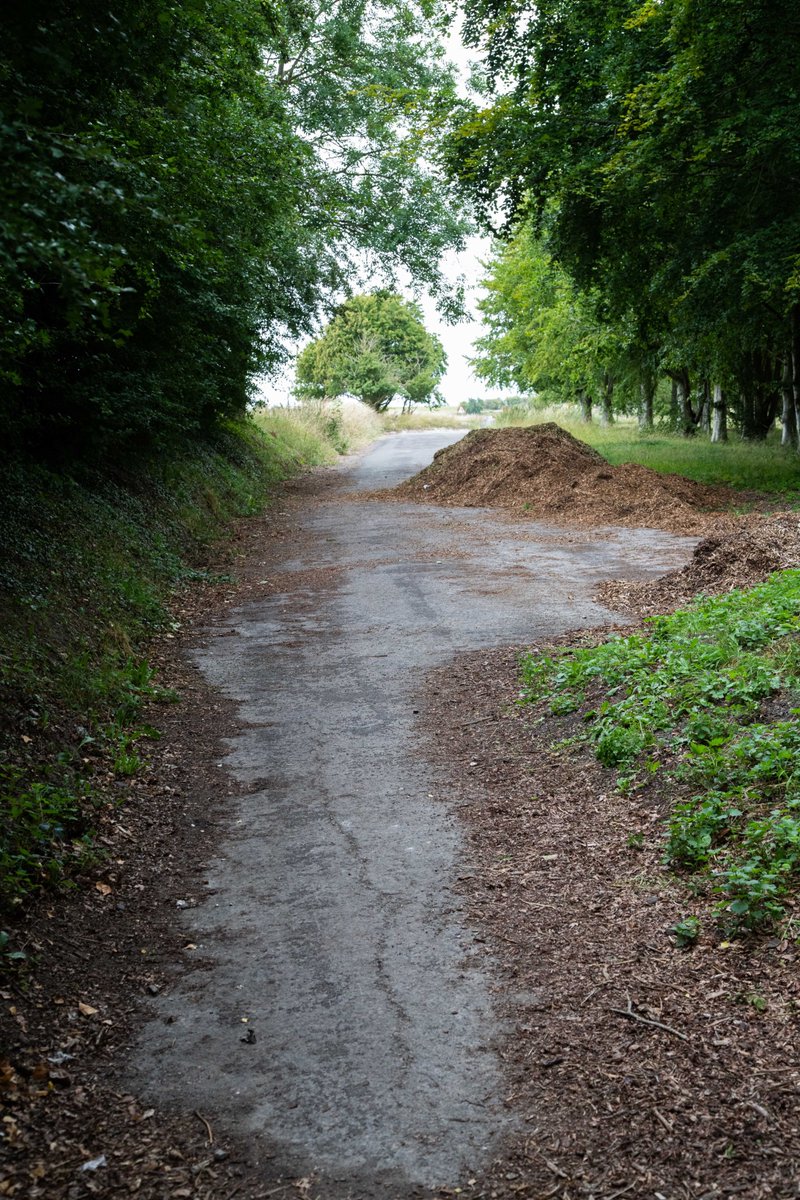 ...then on the old A345 now a path. Amazing how narrow it has become since the 1960's. With deposits of earth, wood chippings, et al just before Woodhenge