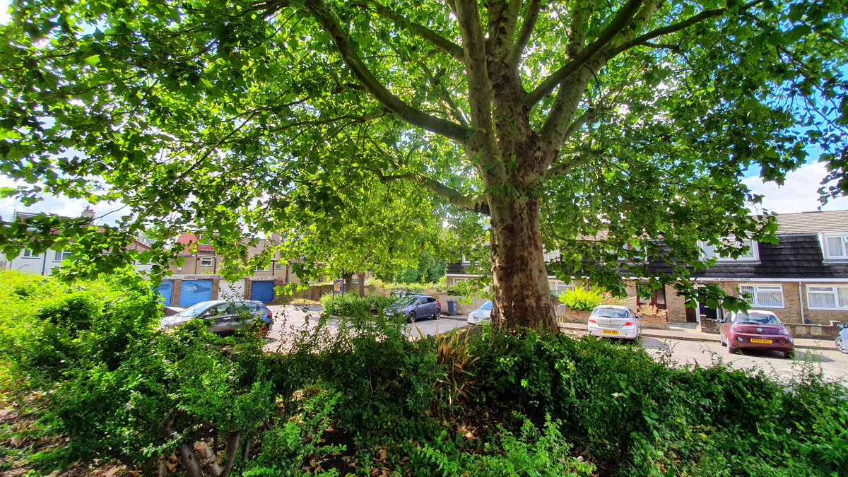 Prospect Place - Wells Park Estate...