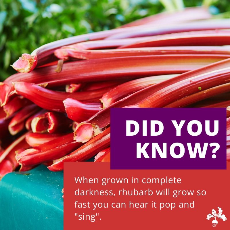 growingchefsBC's tweet photo. What fun food facts do you know? Check back each Friday for some fresh food trivia!

#foodfactfriday #foodtrivia #didyouknow #learnsomethingnew #eatsomethingnew #funforkids https://t.co/7J05X3F2UE