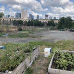 Photo by City of Charlotte Sustainability (@CLTSustainable)