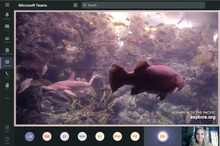 GagnierRachelle's tweet photo. After doing a read-aloud of "Le monde sous-marin" by Jaclyn Crupi, we went on a virtual field trip to the Aquarium of the Pacific LIVE. We shared our connections by identifying the animals we learned in the book! ๐ฆ๐ ๐ณ๐
#GECDSBSLP2020 #CampMerveille2020 @Mme_Cowan @HowittClara https://t.co/UTluzecBnN