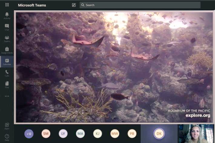 GagnierRachelle's tweet photo. After doing a read-aloud of "Le monde sous-marin" by Jaclyn Crupi, we went on a virtual field trip to the Aquarium of the Pacific LIVE. We shared our connections by identifying the animals we learned in the book! ๐ฆ๐ ๐ณ๐
#GECDSBSLP2020 #CampMerveille2020 @Mme_Cowan @HowittClara https://t.co/UTluzecBnN