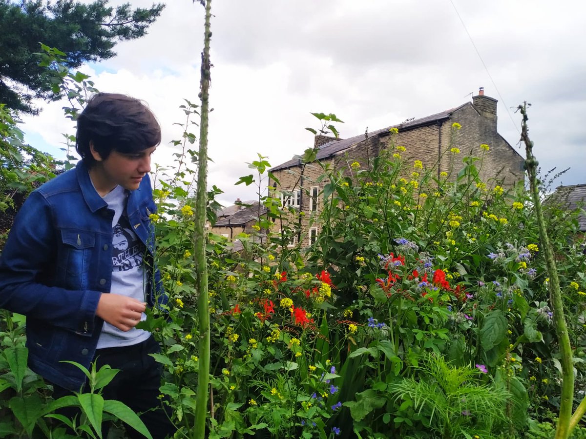 GreenFingeredGeorge tweet media