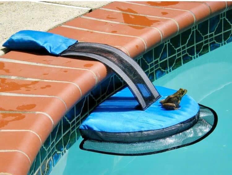 Having issues with little critters unable to get out of the pool? We carry the Frog Log, a critter rescue escape ramp. We have had a lot of feedback from our customers that they work really well! $20.99, while supplies last!
#garypools #garysgotit #froglog