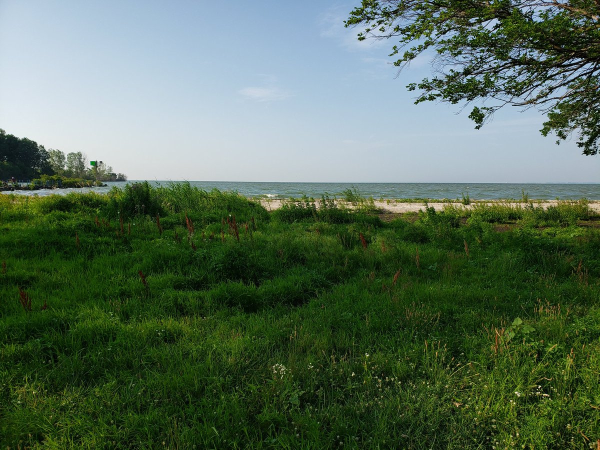 Professor1300's tweet photo. Morning bike ride. Nice break from working on the book. Lake Erie, western shore looking East. https://t.co/YAqaPMPpCd