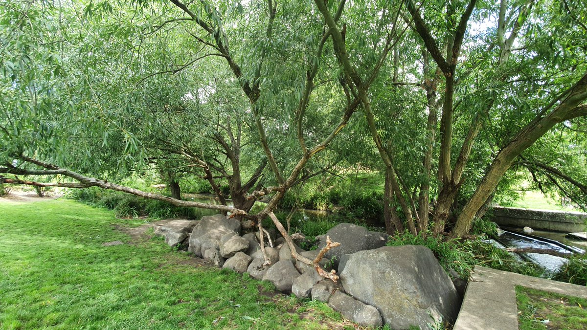 Then along the Waterlink Way. One of my favourite green (and blue!) routes in London.
