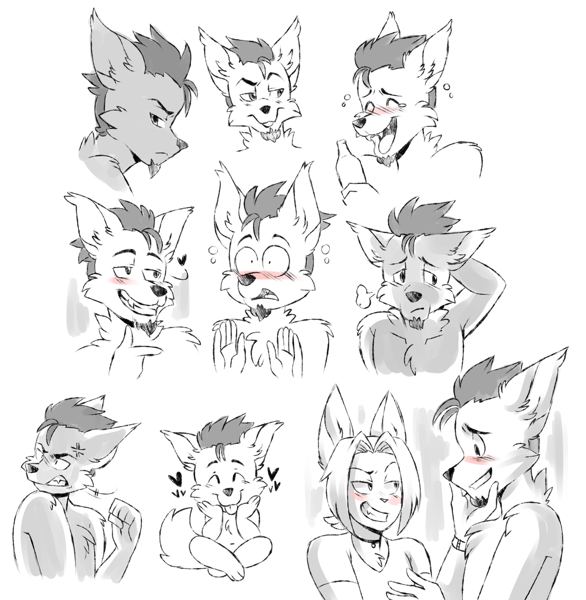 Rusty 🦊🛩 tweet media