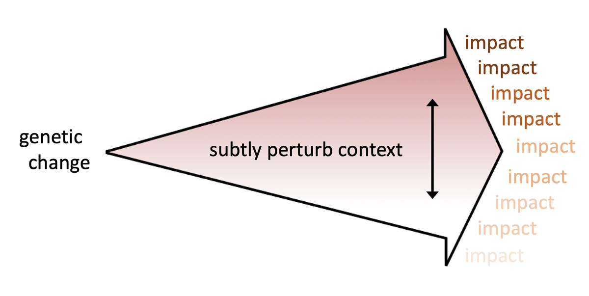 This way of studying genotype-phenotype-fitness maps embraces their context dependence. Quantifying how the impacts of mutation change across contexts yields insights about the map’s architecture (the degree of pleiotropy) and improves fitness predictions for new mutations 15/16