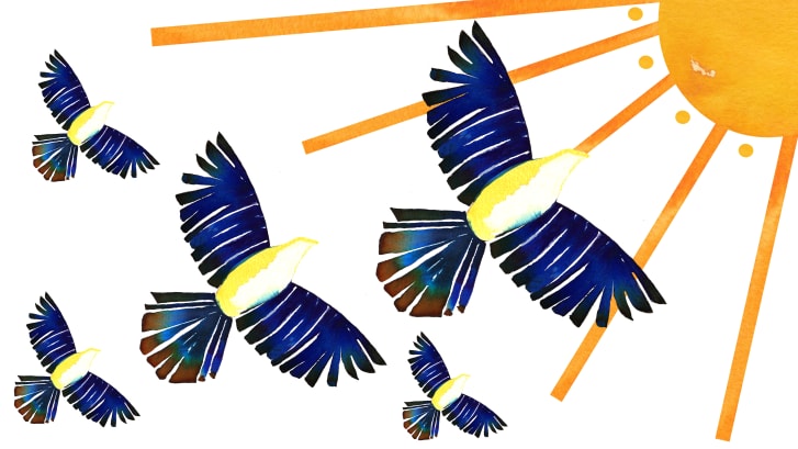 (POLL) CNN asked 5 Black artists from Mississippi to propose a new state flag. I hope you'll share—and vote in the comments on which you like best (the numbering goes clockwise from top left; the fifth flag is in the next tweet).1 Perryman2 Johnson3 Mobley4 Martéa5 Mcmillon