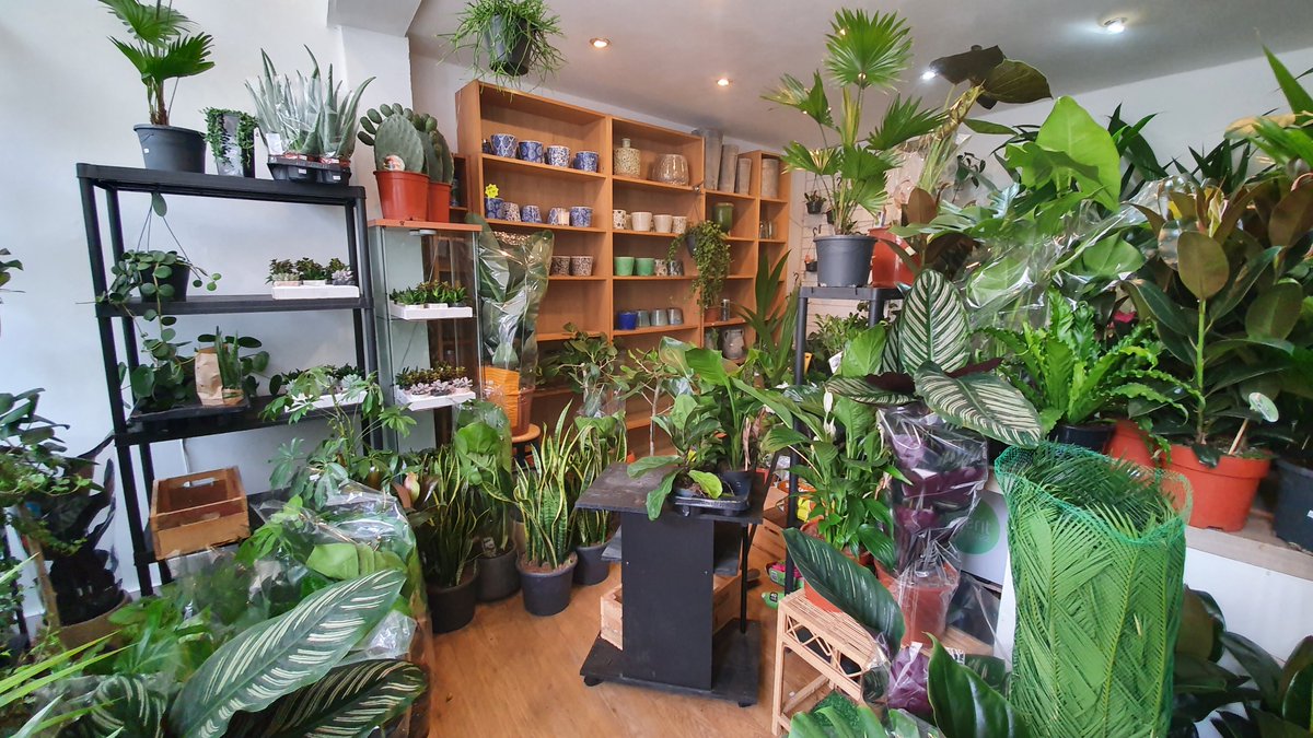 Walk to Garden of Eden on Loampit Vale - my first visit. On the recommendation of  @sofiaakel. It's fantastic!They are on IG:  https://www.instagram.com/gardenofeden.thevale/?igshid=1blf31v5ye2w3 https://twitter.com/sofiaakel/status/1279440560630173698