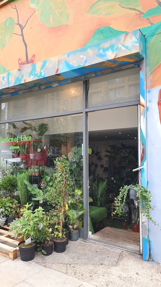 Walk to Garden of Eden on Loampit Vale - my first visit. On the recommendation of  @sofiaakel. It's fantastic!They are on IG:  https://www.instagram.com/gardenofeden.thevale/?igshid=1blf31v5ye2w3 https://twitter.com/sofiaakel/status/1279440560630173698