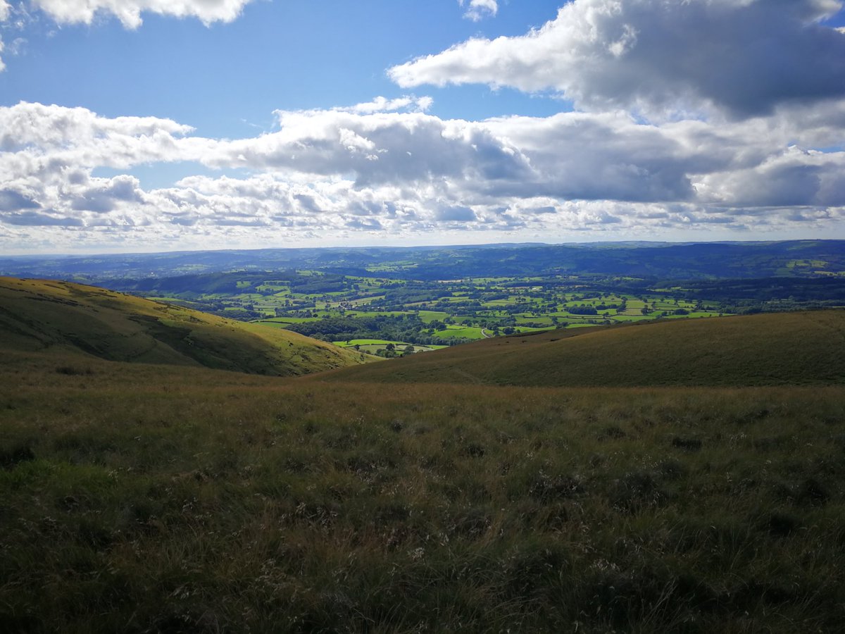 Rachel_LewisD's tweet photo. After first gather this morning, a glorious afternoon on #mynyddbachtrecastle looking for the stragglers! πππππ
#shearing2020 https://t.co/eutAHxSBFN