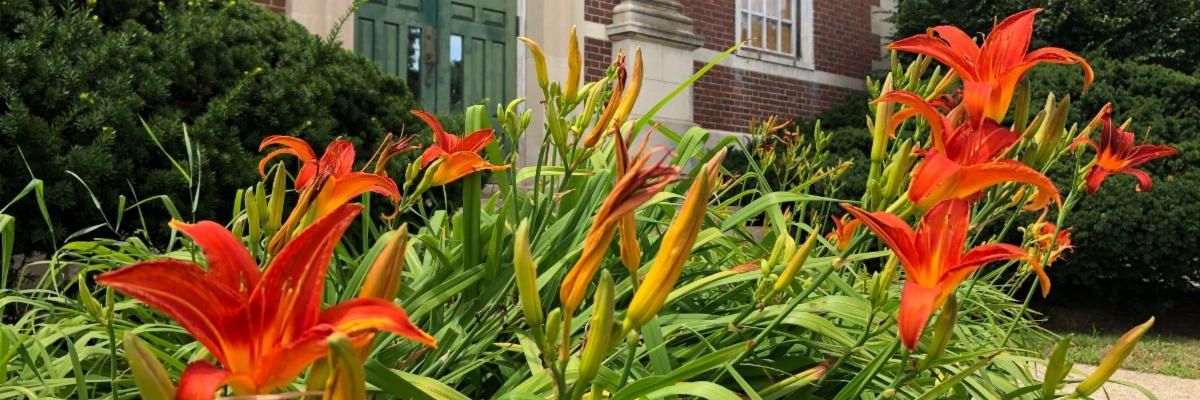 Newsletter for July 10, 2020 conta.cc/3gYLLrl