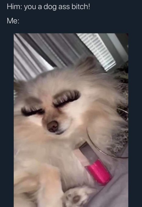 Im a dog im a dog im a dog lol https://t.co/Bavo1Kh4LA<a href="/tag/mytwitteranniversary"class="tags"><span>#mytwitteranniversary</span></a>