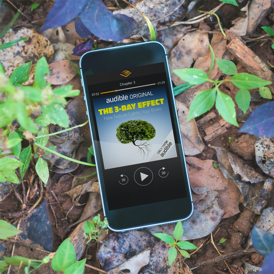 Adam White PPLI & Andrée Davies tweet media